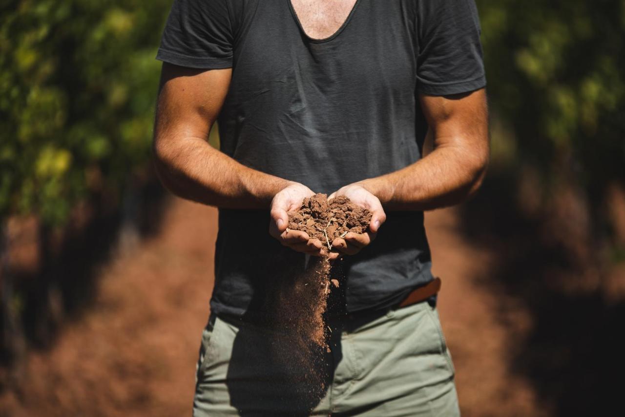 Chateau Saint Roux Le Luc-Le Cannet Des Maures Eksteriør bilde