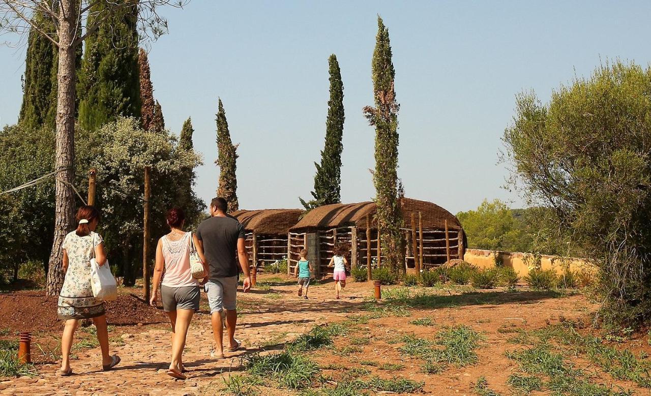 Chateau Saint Roux Le Luc-Le Cannet Des Maures Eksteriør bilde